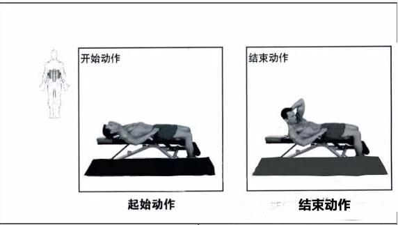 仰臥軀干練習(xí) 仰臥軀干練習(xí)