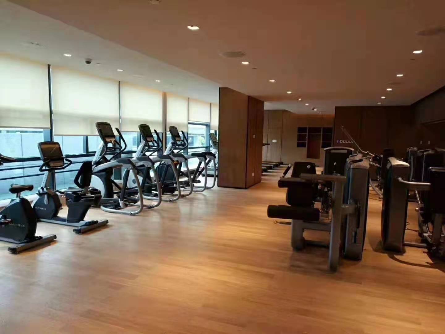 健身器材 健身器材