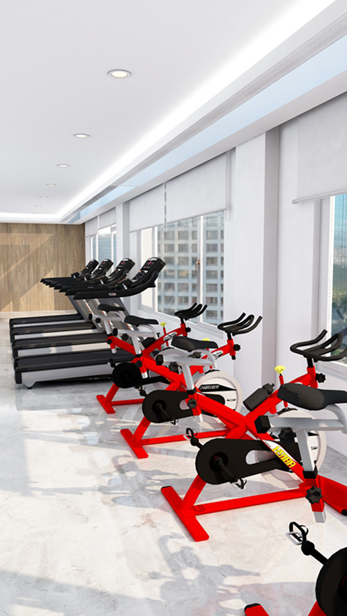 家庭健身房 家庭健身房