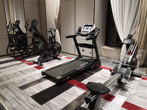 家庭健身房 家庭健身房