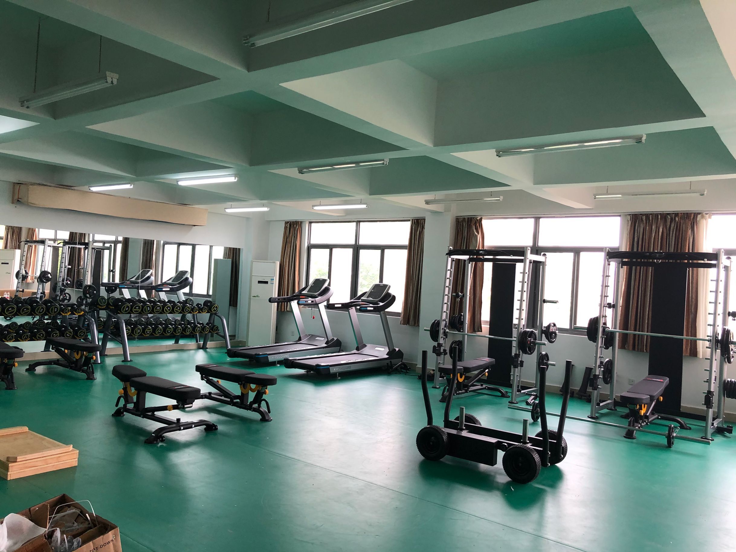 女性力量訓練器 女性力量訓練器